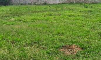 Imagem 6: Dois terrenos a venda em Guapiranga