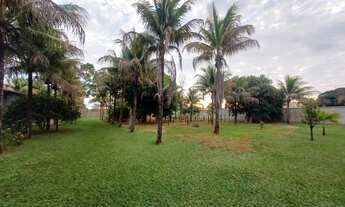 Imagem 6: Chácara a venda no Dom Bosco em Guaiçara SP