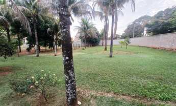 Imagem: Terrenos a venda no Dom Bosco em Guaiçara