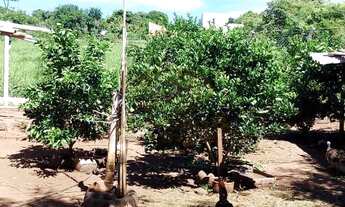 Imagem 7: CHÁCARA A VENDA EM RIO PRETO