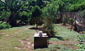 Imagem 3: CHÁCARA A VENDA EM RIO PRETO