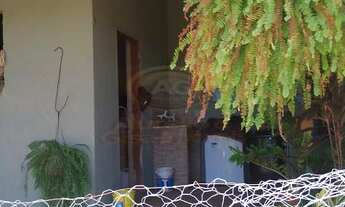 Imagem 5: CHÁCARA A VENDA EM RIO PRETO