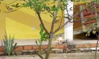 Imagem 4: Sítio à venda Fazenda / sítio com 2 dormitórios