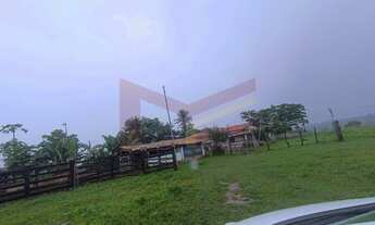 Imagem 5: Fazenda Em Retiro de Coração de Maria 147 tarefas