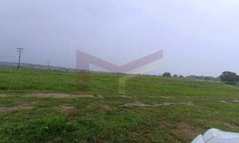 Imagem 6: Fazenda Em Retiro de Coração de Maria 147 tarefas