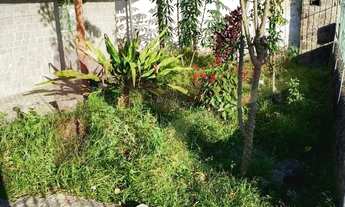 Imagem 6: Casa 3/4 no Parque Ipe