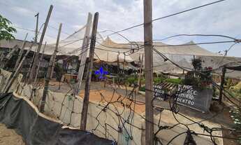 Imagem 4: Terreno de Esquina à Venda no Bairro Santa Terezinha - 333m²