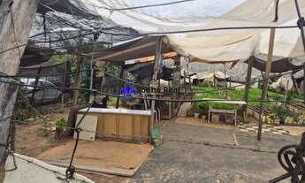 Imagem 3: Terreno de Esquina à Venda no Bairro Santa Terezinha - 333m²