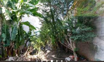 Imagem 4: Terreno Amplo na Penha ? Oportunidade para Construtores!