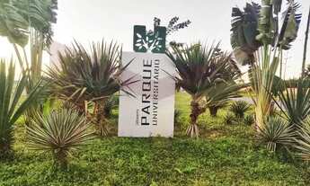 Imagem 2: Terreno no Parque Universitario