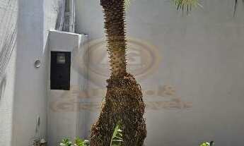 Imagem 2: CASA A VENDA NO RESIDENCIAL GABRIELA