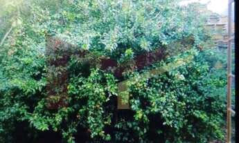 Imagem 5: Casa 1/4 no Feira X