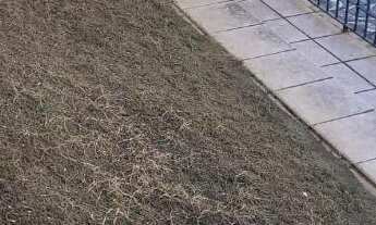 Imagem 3: Casa Térrea com Escritório e Edícula no Parque São Domingos