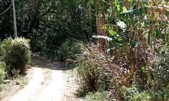 Imagem: Propriedade rural 65 mil m² em Pinhalzinho/SP