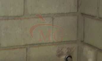 Imagem 7: Barracão Comercial / Industrial - Distrito Indl Carlos Arnaldo - S.J. Rio Preto - SP