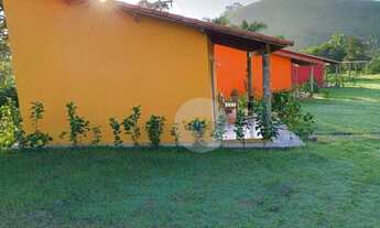 Imagem 2: Fazenda 78 Hectares Areias-SP: Área Preservada, Infraestrutura Completa, Frutíferas e Exce