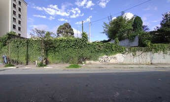 Imagem: Terreno residencial para venda em Paineiras