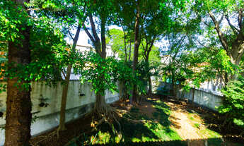 Imagem 5: Casa tipo para venda em Pacaembu com 4 quartos, sendo 2 suítes, 349m²