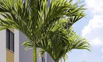 Imagem 7: HM Smart Osasco | Construtora HM | Construção | 40 metros | 02 dormitórios | varanda