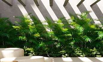 Imagem 7: Isa Brooklin Construtora Nortis Construção 220 metros 04 dormitórios 02 suítes