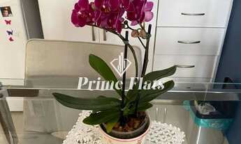 Imagem 3: Flat disponível para venda no QI Intelligence Flat, com 36m², 1 dormitório e 1 vaga