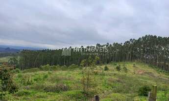 Imagem 5: TERRENO - LOCALIDADE DE PINHAL - PETROLÂNDIA - SC