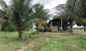 Imagem 7: Chácara, 10 alqueires - Silvanópolis/TO