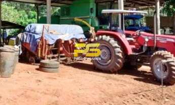 Imagem 7: Fazenda à Venda - Santa Rita do Tocantins