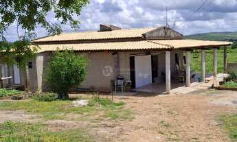 Imagem 7: FAZENDA EM GARARU AO LADO DO RIO SÃO FRANCISCO