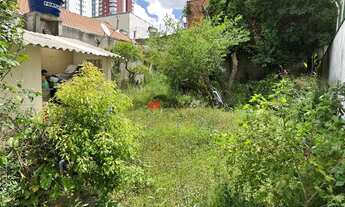 Imagem 5: Casas em terreno Grande