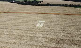 Imagem 3: SITIO COM 31,5 ALQUEIRES EM ESPIGÃO AZUL