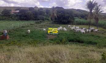 Imagem 4: FAZENDA A VENDA (COM CASA) COM 03 QUARTOS - SÃO JOSÉ DO BELMONTE