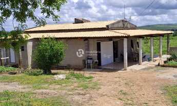 Imagem 7: FAZENDA EM GARARU AO LADO DO RIO SÃO FRANCISCO