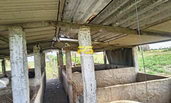 Imagem 7: Fazer à venda com 7 hectares