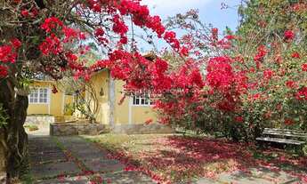 Imagem 6: Chácara à Venda