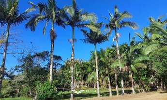 Imagem 5: Chácara com Pesque e Pague a venda em Barra Velha