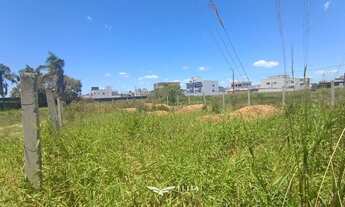 Imagem 4: Lote/Terreno à venda, Nova Barra Velha - Barra Velha