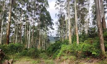 Imagem 2: TERRENO - ALTO BARRA NOVA - PETROLÂNDIA - SC