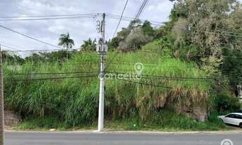 Imagem 3: Terreno 9.370m² na Velha!