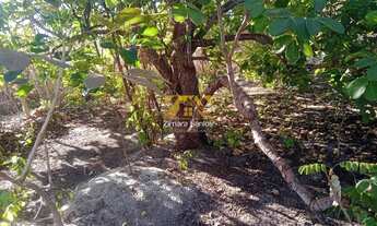 Imagem 7: Chácara com 1.000 m² - Condomínio Recanto dos Buritis - Porto Nacional/TO