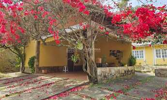 Imagem 4: Chácara à Venda