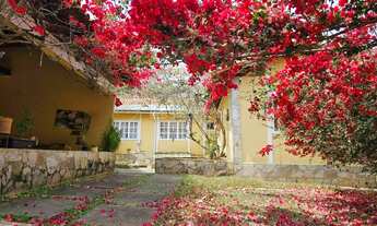 Imagem 5: Chácara à Venda