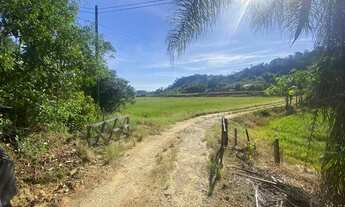 Imagem 4: Sitio com casa, ranchos, arrozeiras e criação de peixe em Massaranduba