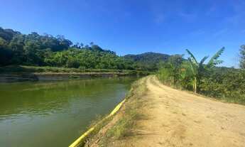 Imagem 3: Sitio com casa, ranchos, arrozeiras e criação de peixe em Massaranduba