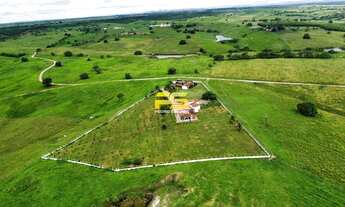 Imagem 7: Fazenda para venda com 150 Hectares