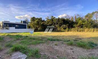 Imagem 2: TERRENO - TROPICAL 3