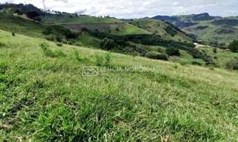 Imagem 4: Fazenda a venda mg