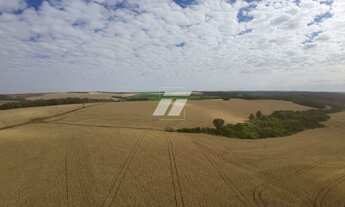 Imagem 5: Fazenda de 690 alqueires aptdão Lavoura - 01h de Cascavel