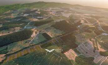 Imagem 5: Quinta de Medeiros - QDM A