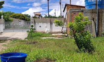 Imagem 4: FAZENDA EM GARARU AO LADO DO RIO SÃO FRANCISCO